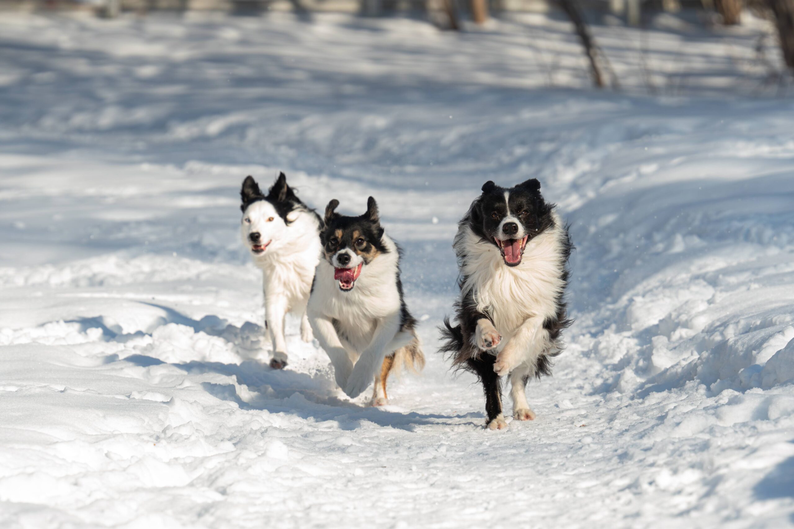 Book Your Classes Now