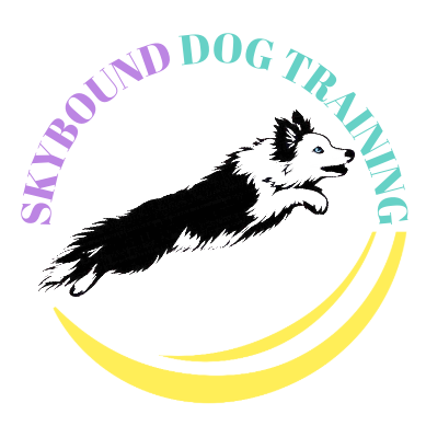 Skybound Dog Training